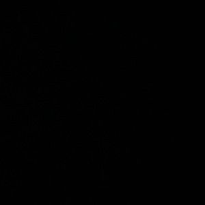 Meet your Posher, Gaebbie